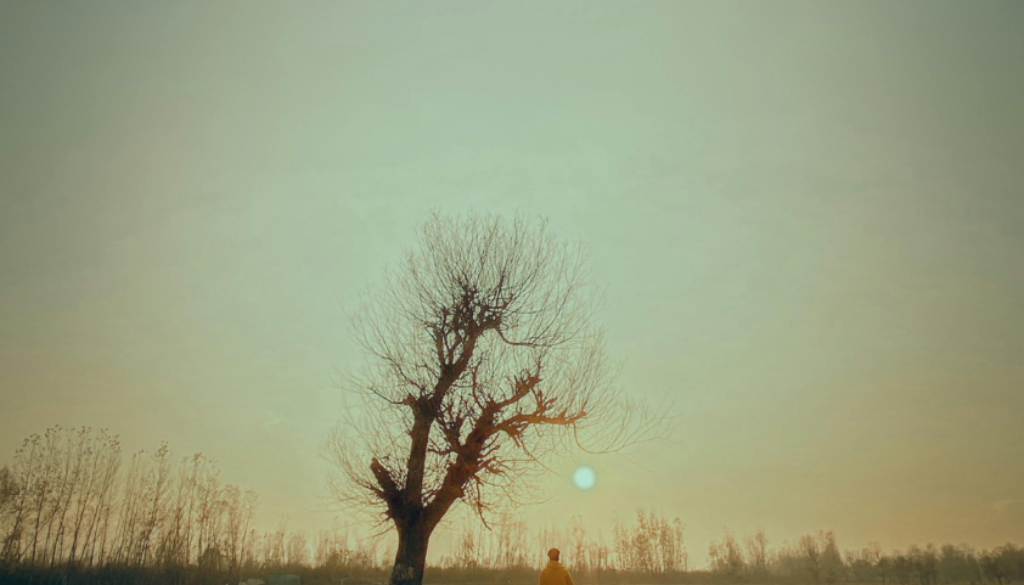 Marked & Memoired: An Ode to the Stories We Wear